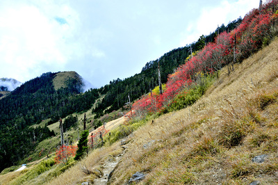 003-11_雷大同_秋臨三六九山莊