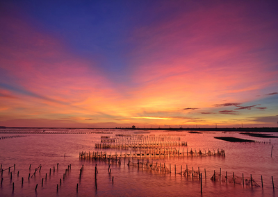 015-25_劉榮振_七股潟湖觀夕陽