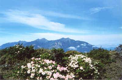 020-33_雷大同_駒盆途中望玉山